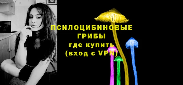 крисы Михайловск