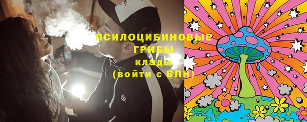 крисы Михайловск